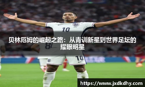 yy易游体育官网